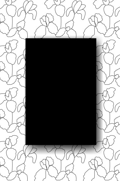 黑白花卉花边设计