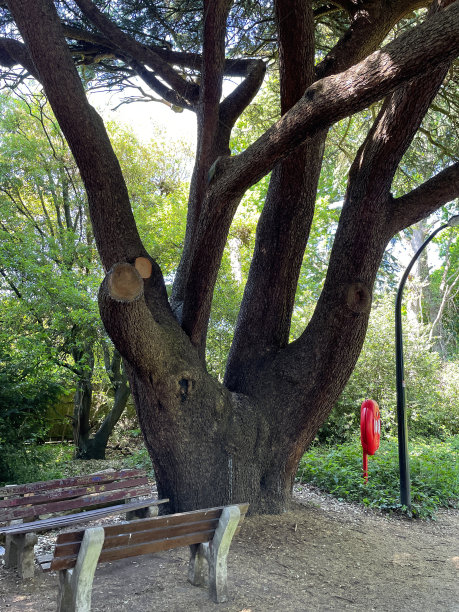 水塘救生圈