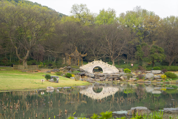 东湖风光