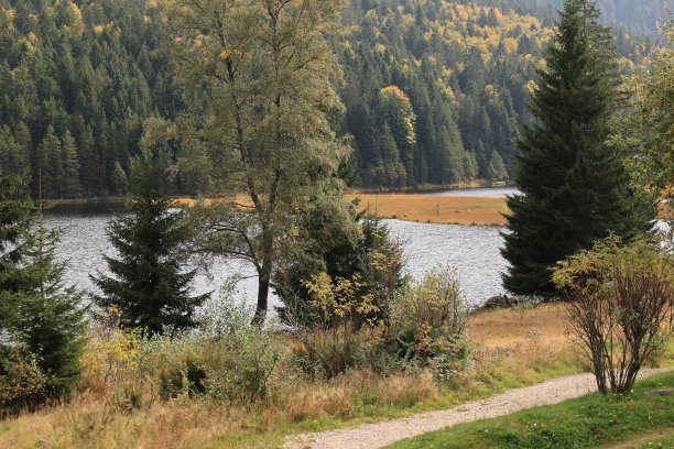 巴伐利亚森林,自然美,湖