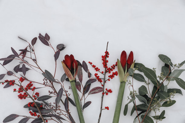 圣诞背景雪花平铺图案