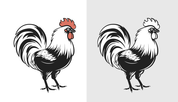 鸡养殖logo
