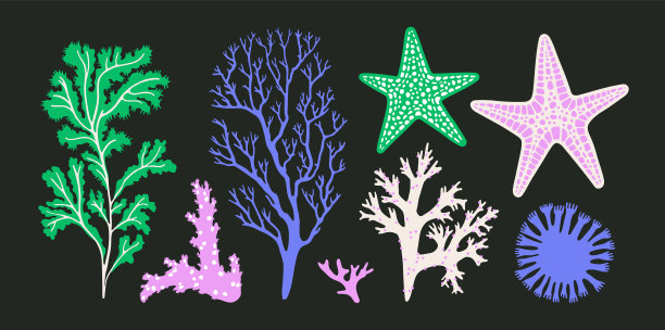 海底世界植物珊瑚海草