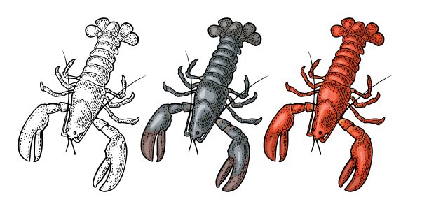 小龙虾图案标志