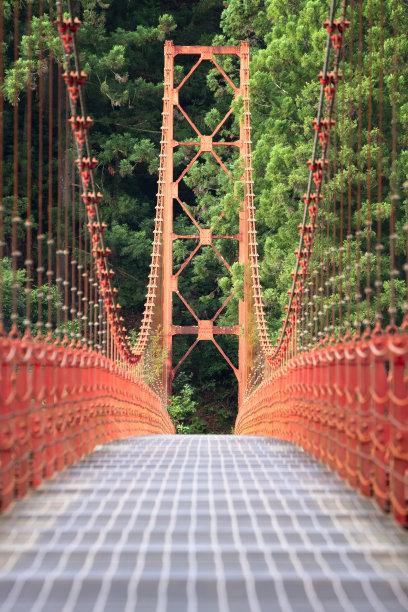 林间吊桥