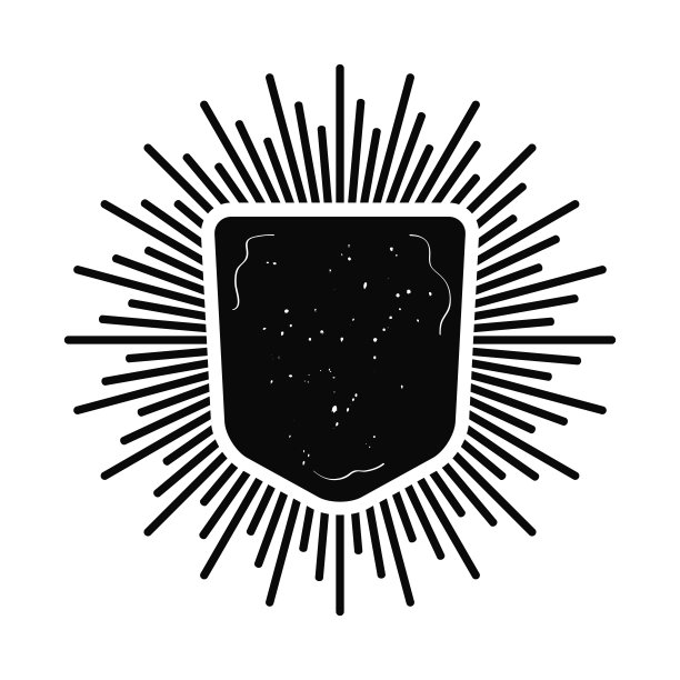 质感盾牌logo设计