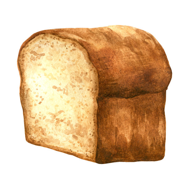 面包卷绘制