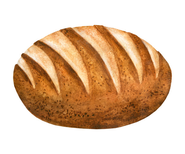 面包卷绘制