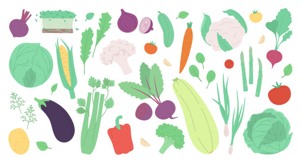 蔬菜拼盘插画