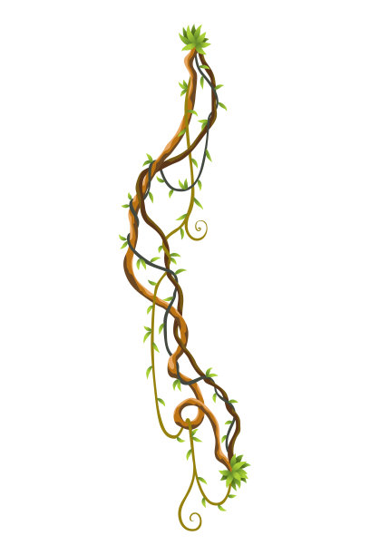 树枝藤蔓元素设计