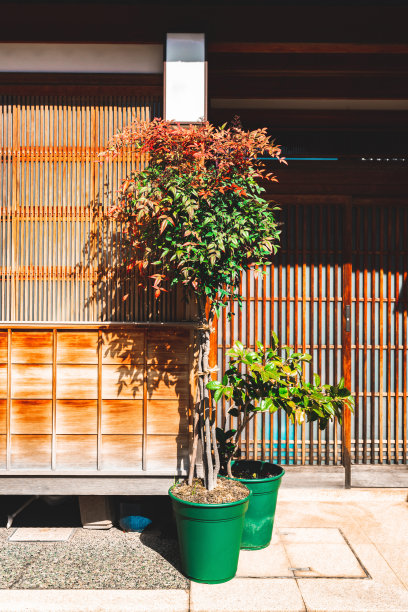 花格窗背景