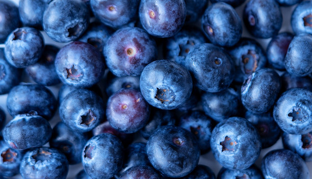 蓝莓俯拍素材