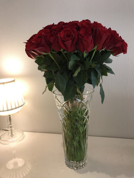 玫瑰,周年纪念,事件