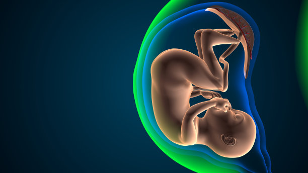生命科学胎儿分娩
