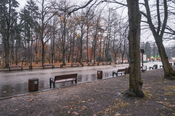 雨落在城市公园里