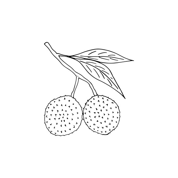 荔枝logo设计