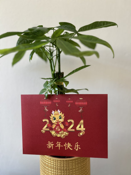 新年春节发财树