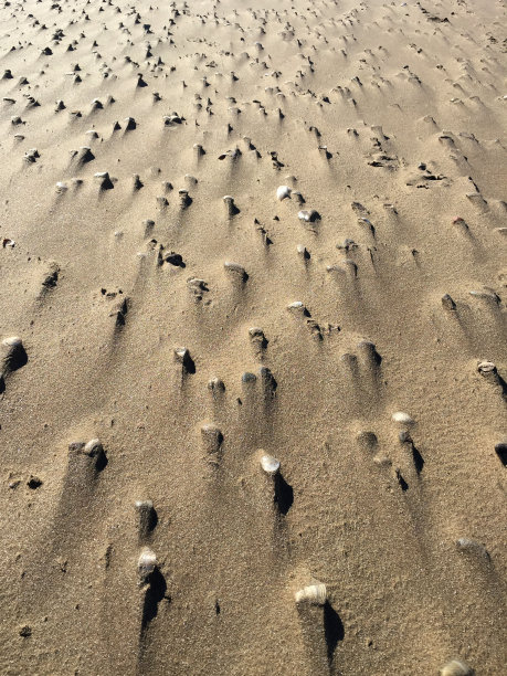 沙漠里的沙子