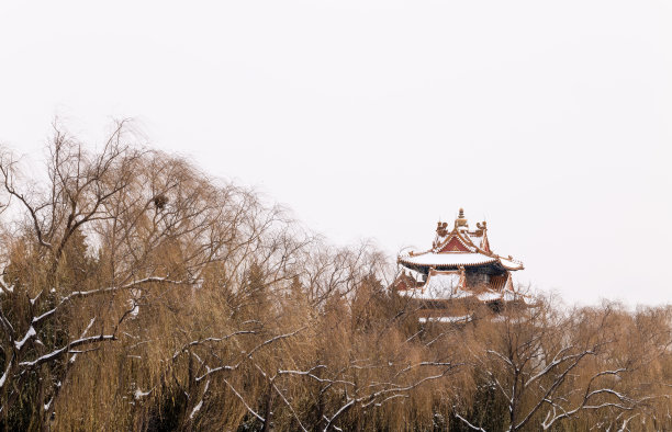 亭台楼角雪景