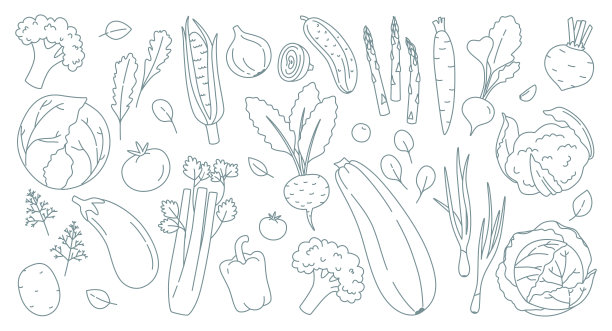 蔬菜拼盘插画