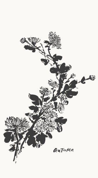 美妆植物鲜花矢量背景海报插画