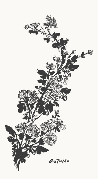 美妆植物鲜花矢量背景海报插画