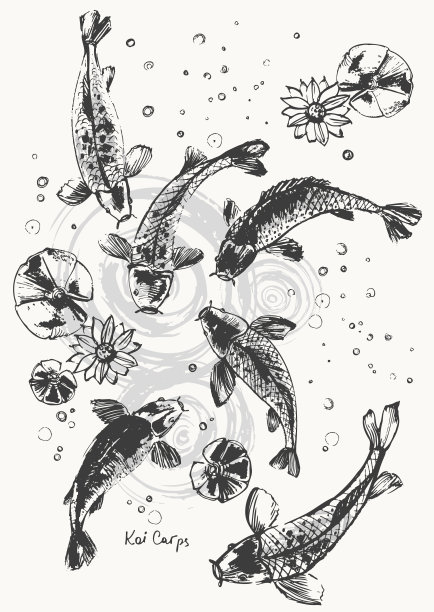 水墨鲤鱼锦鲤