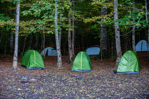 林间帐篷