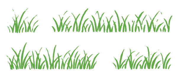 草坪,背景分离,边框
