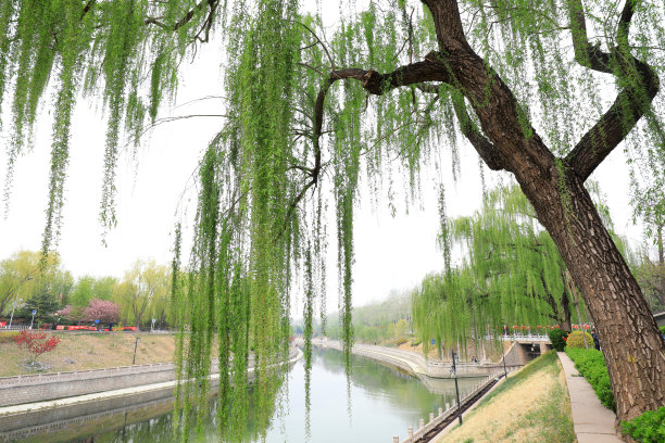 北京水库