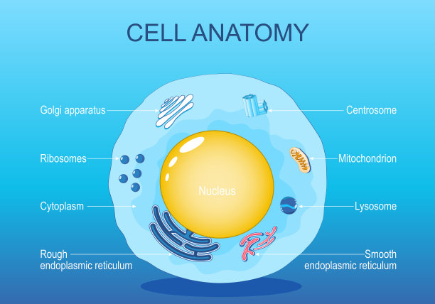 生物细胞学科