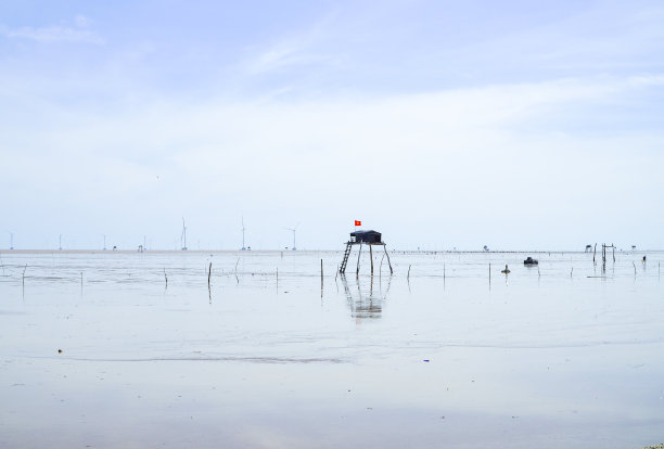 海滨风电景观