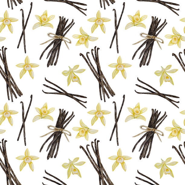 豆荚草药包装插画