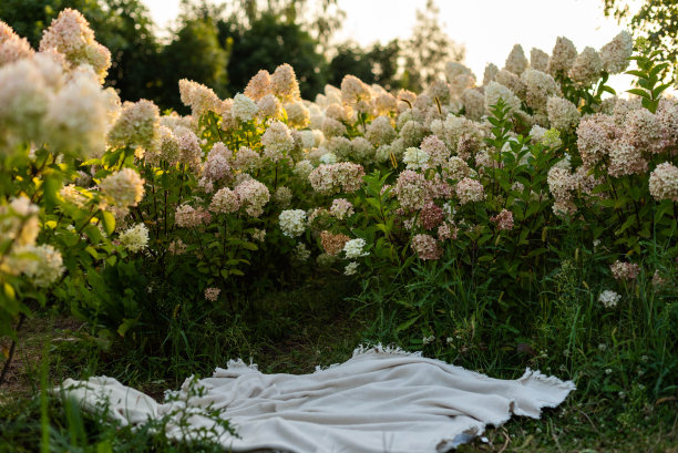 田园花卉毯子