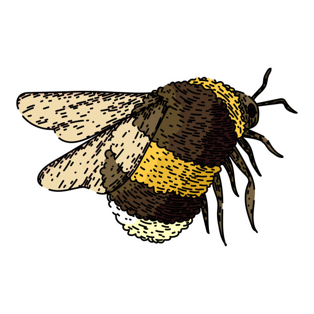 蜂花粉广告