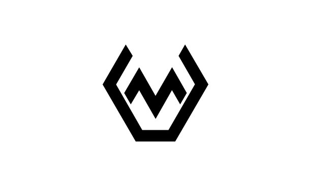 v字logo