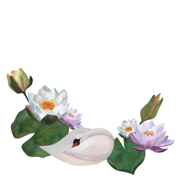 优美水彩花卉插图