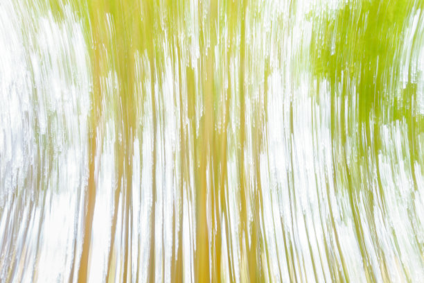 竹林艺术画面