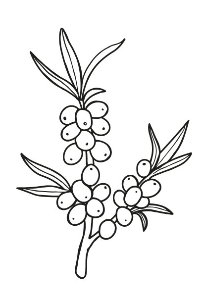 谷粒logo