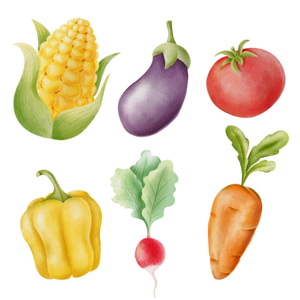 彩绘果蔬菜单图片