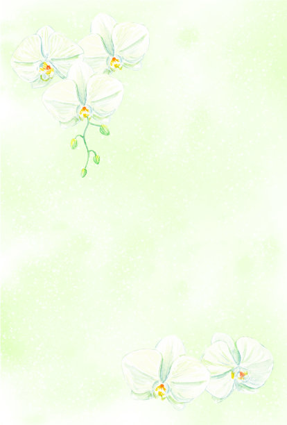 优美水彩花卉插图