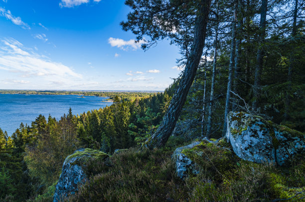 瑞典,斯堪的纳维亚半岛,环境