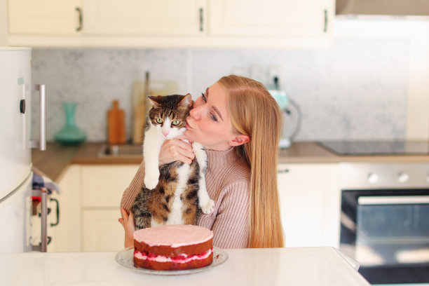 生日小猫派对可爱庆祝蛋糕形象