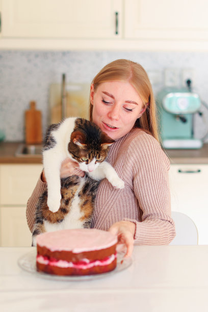 生日小猫派对可爱庆祝蛋糕形象