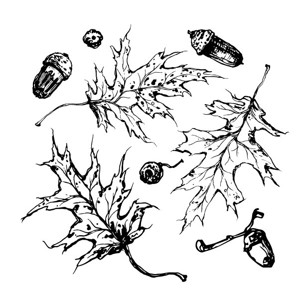 创意抽象线条花卉装饰插图