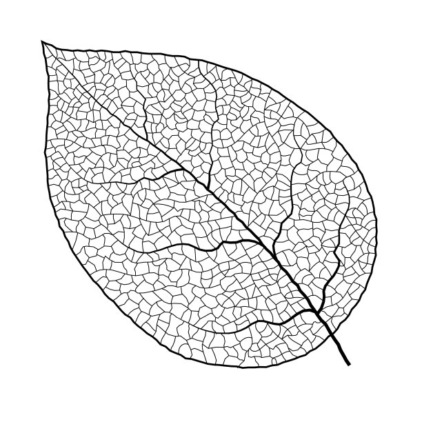 树和树叶剪影矢量素材