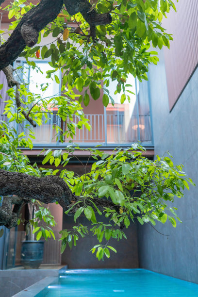 宾馆装饰植物墙