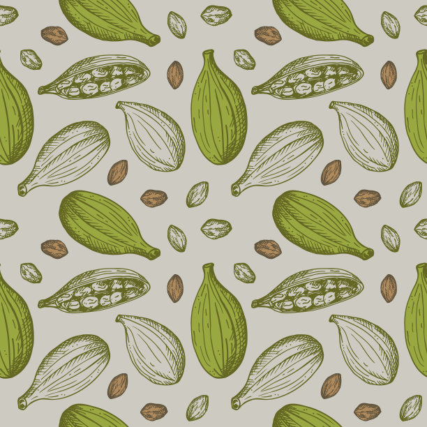 豆荚草药包装插画