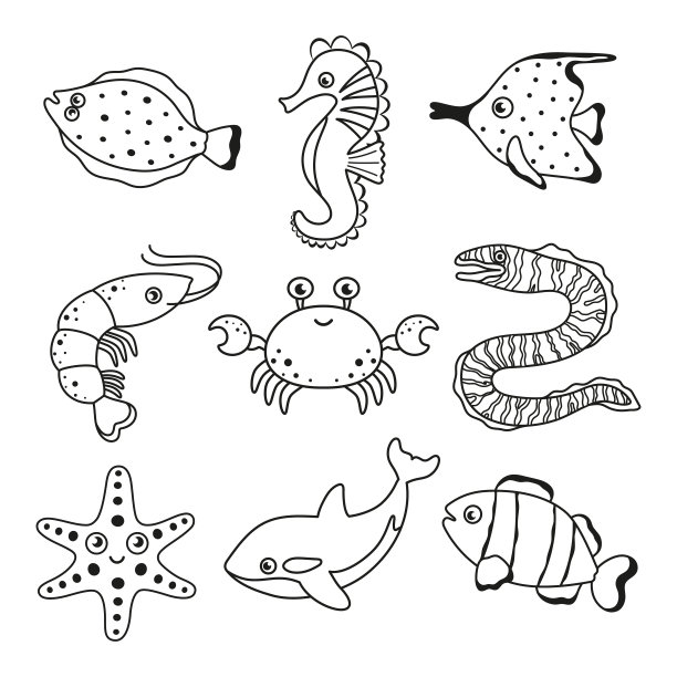 海洋 虾 鱼 生物