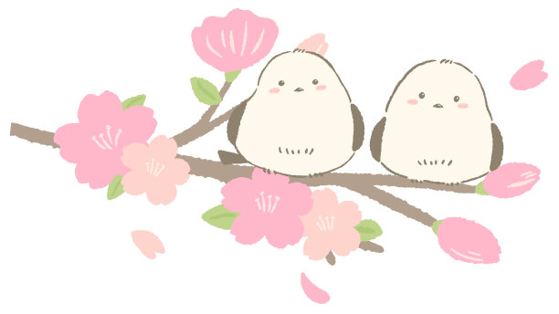 樱花与小鸟